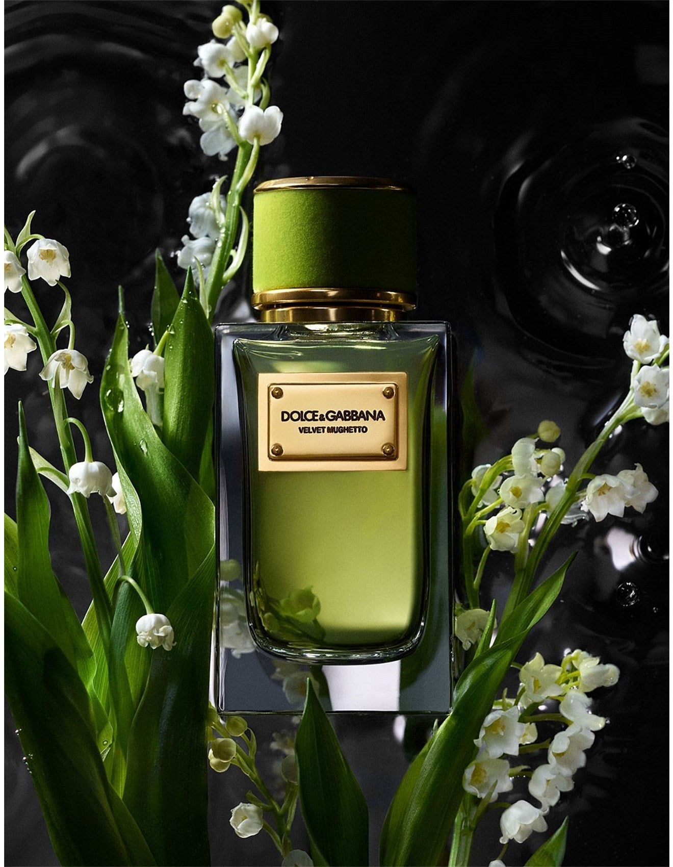 Dolce & Gabbana Velvet Mughetto EDP