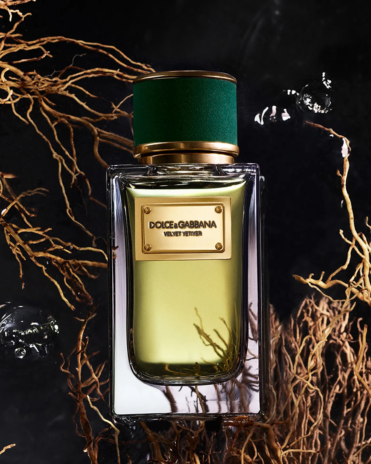 Dolce & Gabbana Velvet Vetiver EDP