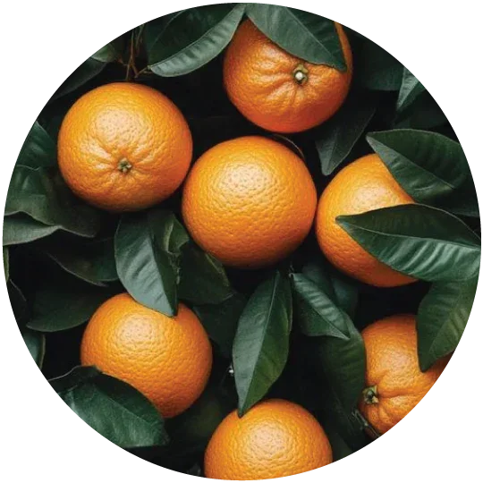 Citrusy