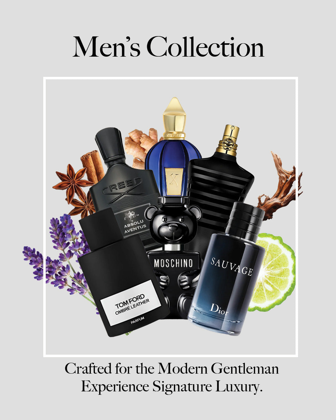 Men Fragrances