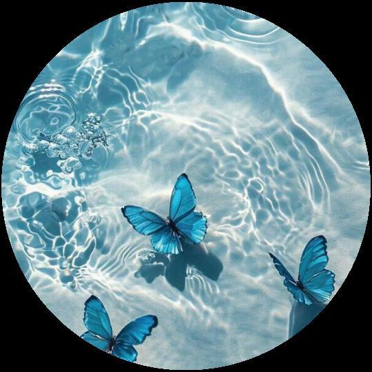 Aquatic