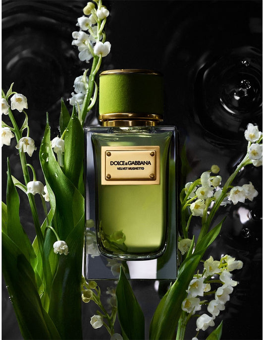 Dolce & Gabbana Velvet Mughetto EDP