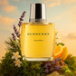 Burberry Classic Men EDT