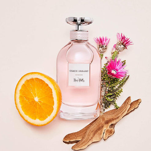 Coach Dreams EDP for Women
