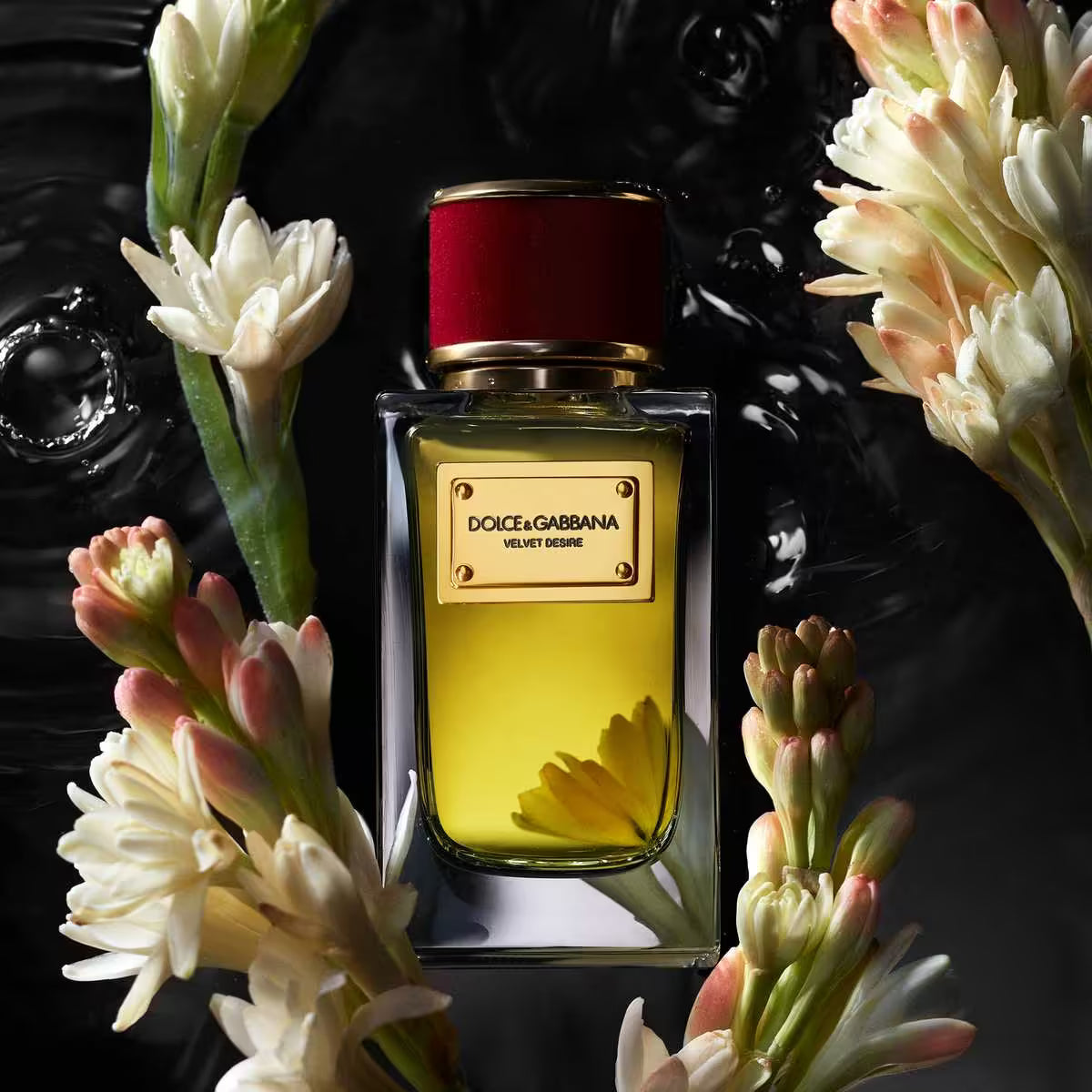 Dolce & Gabbana Velvett Desire EDP