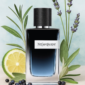 YSL Yves Saint Laurent Y EDP for Men