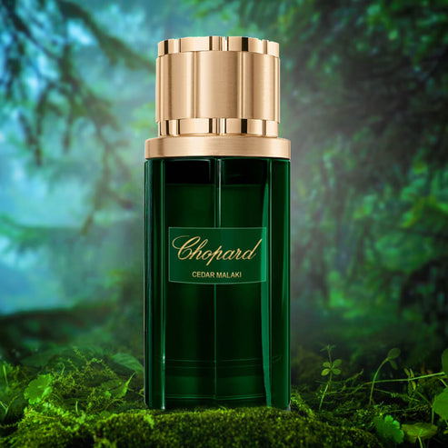 Chopard Cedar Malaki EDP Unisex