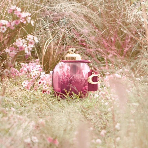 Coach Wild Rose EDP