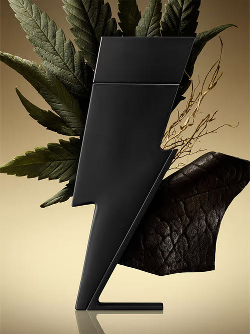 Carolina Herrera Bad Boy Le Parfum EDP