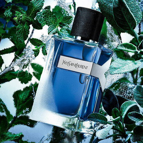 YSL Y'ves Saint Laurent Iced Cologne Eau De Toilette Intense